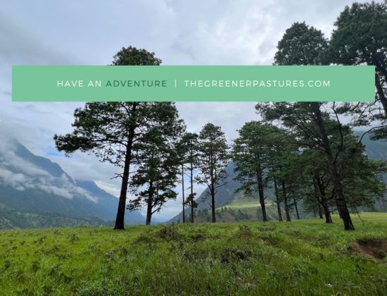 Greener Pastures