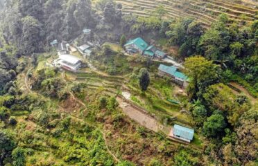 All Listings 1827 Enchanted Forest Farm