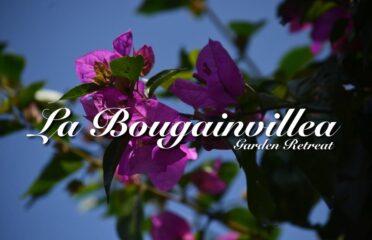 All Listings 1879 La Bougainvillea Garden Retreat