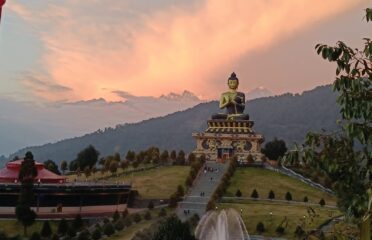 All Listings 1663 Raaj Holidays