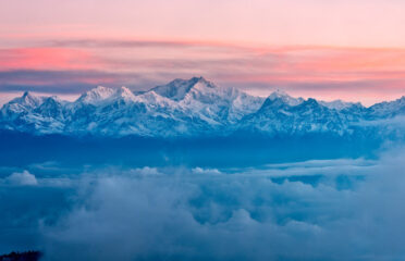 All Listings 1755 RoyalSikkim.Com