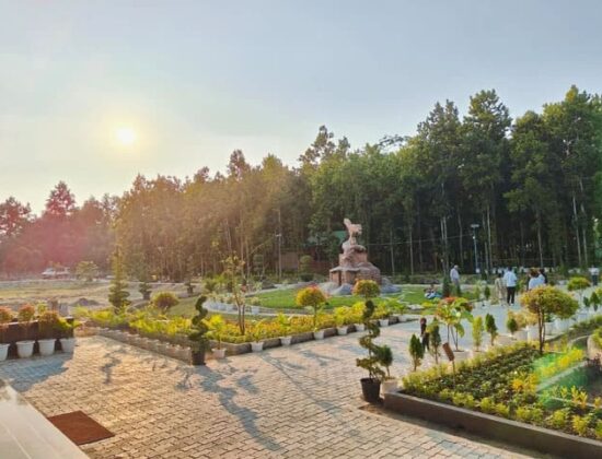 ARJB Farms