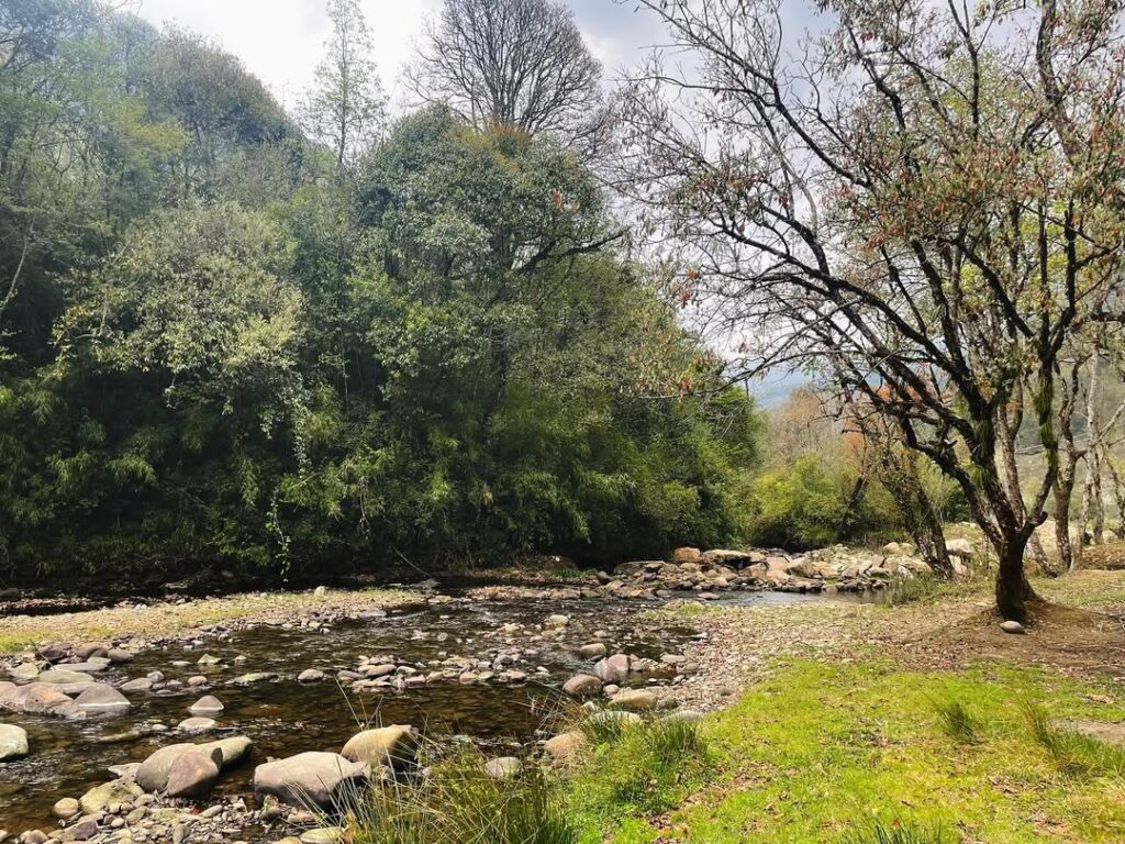 Dzuleke Village: Nagaland's Eco-Tourism Model Village 1 Dzuleke 01