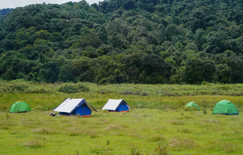 Dzuleke Village: Nagaland's Eco-Tourism Model Village 4 Dzuleke Camping Site