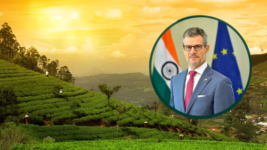EU Lifts Travel Restrictions on Assam