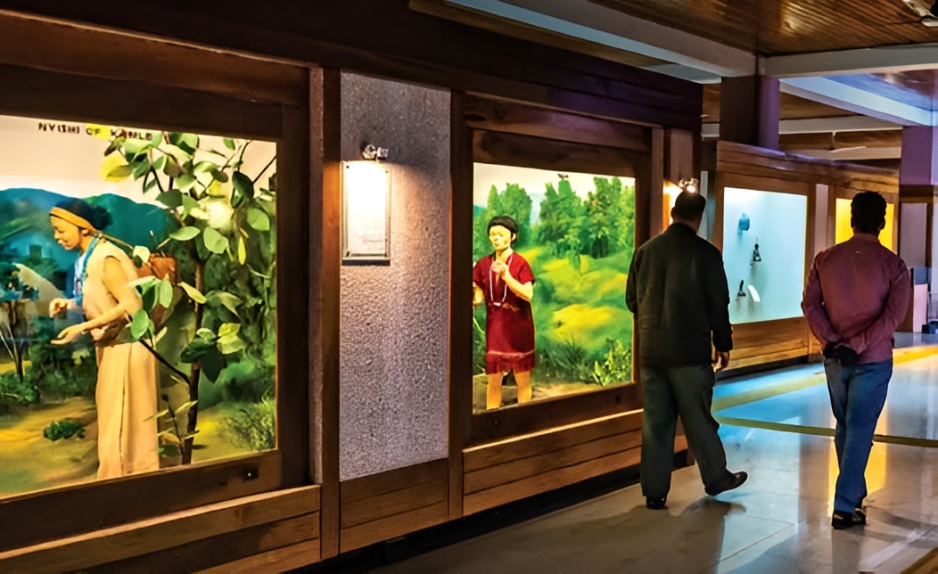 Itanagar Travel Guide: The Gateway Capital of the Eastern Himalayas 3 Jawaharlal Nehru Museum Itanagar
