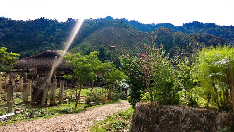 Kazu Village — Adi