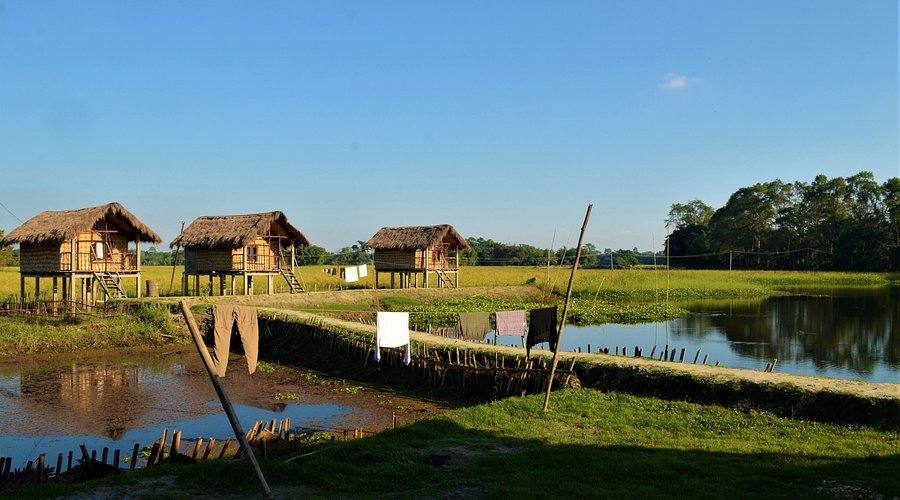 Majuli Bamboo Cottages