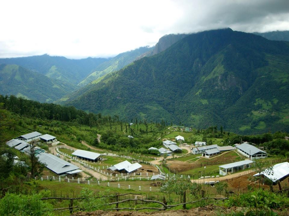 Dirang: Hot Springs, Dzong & the Black-Necked Crane Valley 5 National Research Centre on Yak