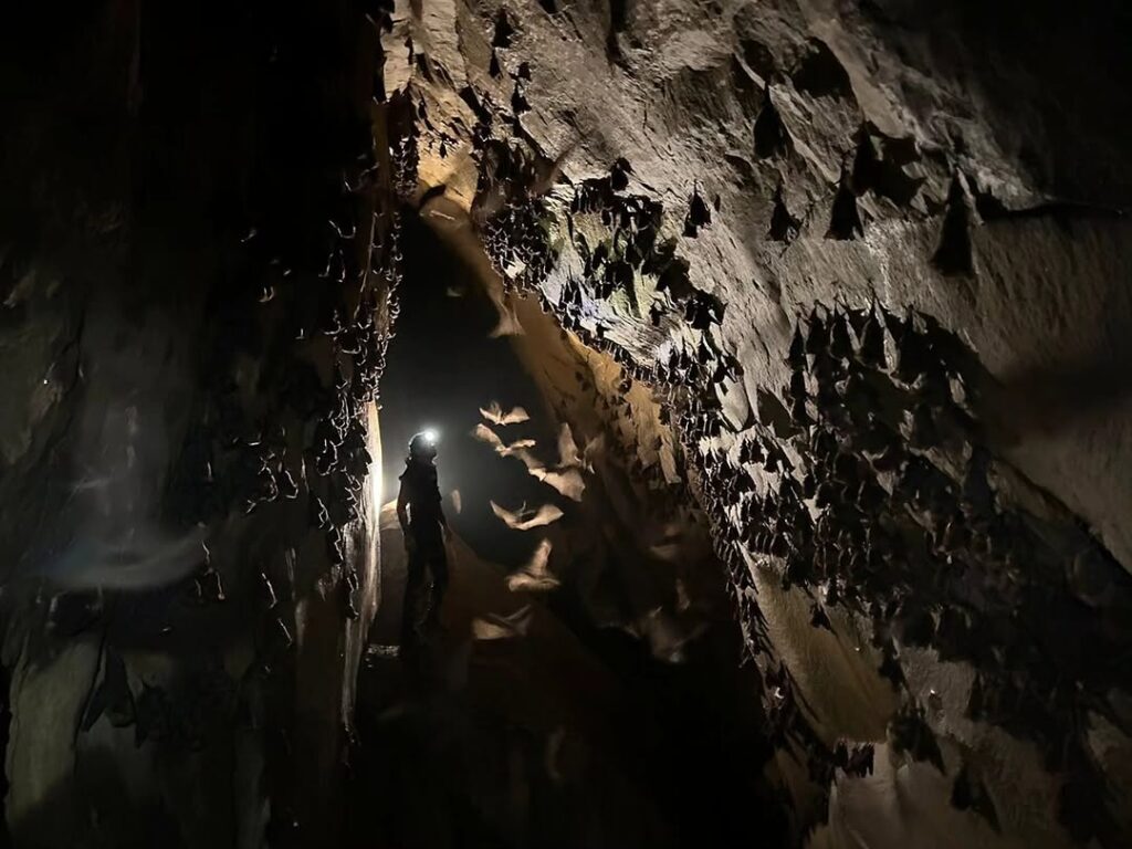 Khawzawl Travel Guide — Biate Eco-Village, Lianhela Puk Cave & the Eastern Mizoram Frontier 4 Tuilutpui Puk