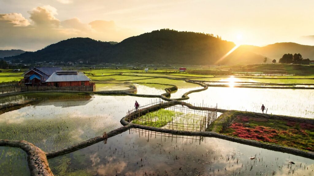 Ziro Valley