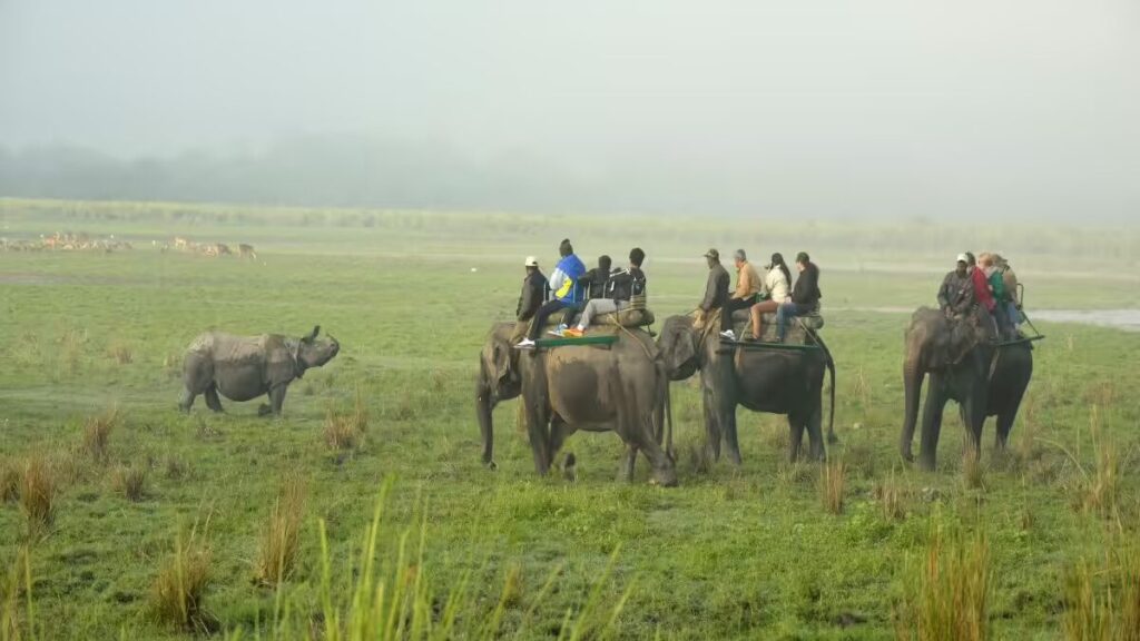 A Traveler's Guide to the Assamese Language 3 Kaziranga edited