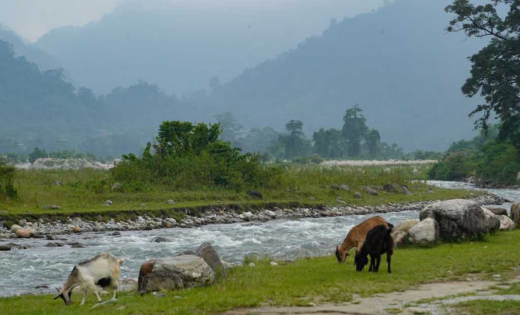 Saralpara: Assam's Off-Grid Picnic Spot Where India Quietly Meets Bhutan 3 Saralpara 02
